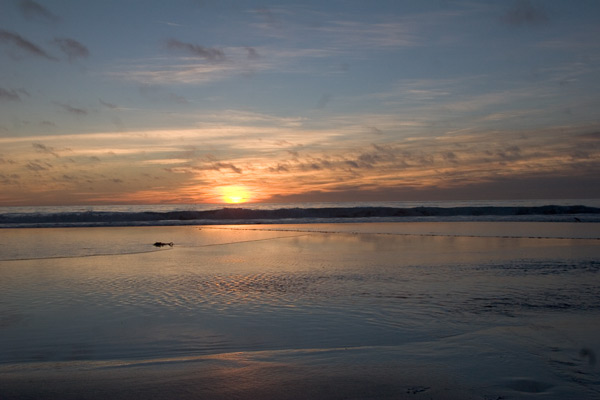 November 20, 2006, Carmel by the Sea, USA