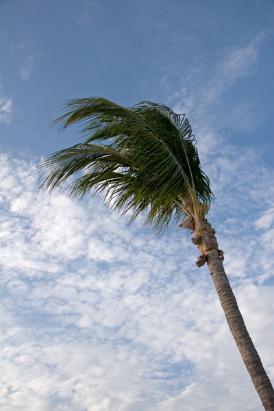 December 9, 2006, Ft. Myers, Florida, USA