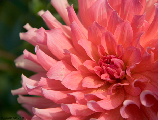 Berlin, Britzer Garten, 01.10.2006