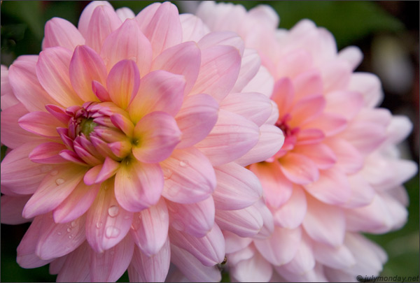 Berlin, Britzer Garten, 01.10.2006
