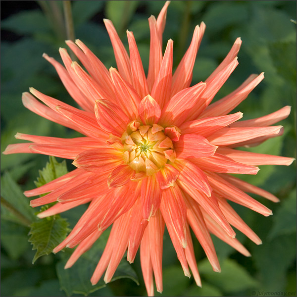 Berlin, Britzer Garten, 01.10.2006