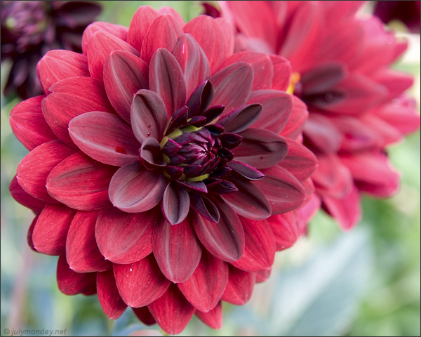 Berlin, Britzer Garten, 01.10.2006