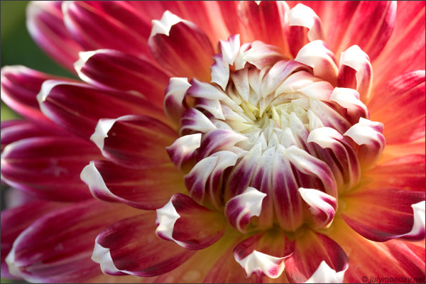 Berlin, Britzer Garten, 01.10.2006