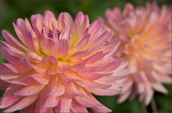 Berlin, Britzer Garten, 01.10.2006