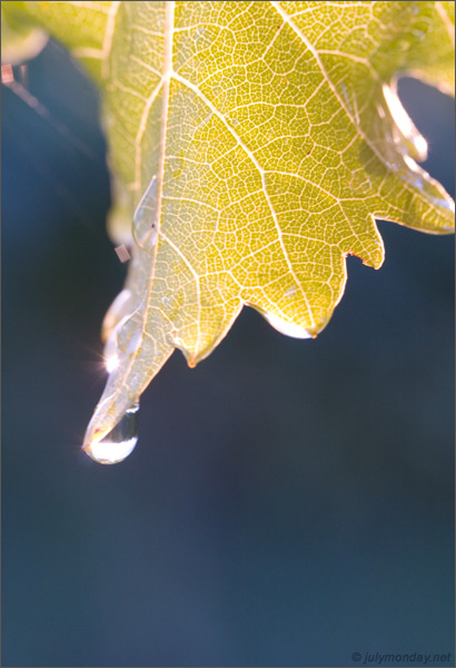 20.08.2006, Werderaner Wachtelberg, Brandenburg