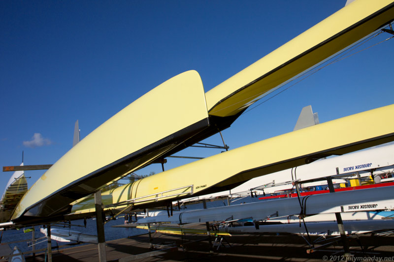 Rowing boats awaiting the race
