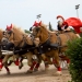 Chariots in Berlin