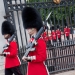 Changing the Guard, leaving