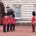 The Scots Guards at Buckingham Palace